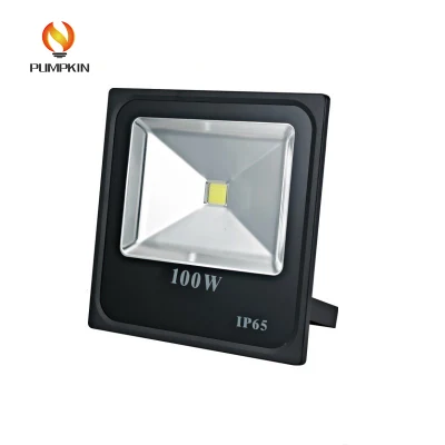 品質保証ICドライバー低100W LEDフラッドライト